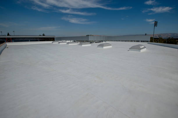 Best Roof Maintenance and Cleaning  in Swartzville, PA